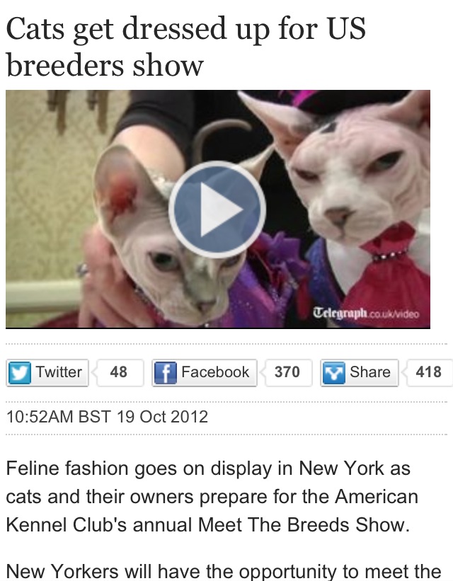 Sphynx in Meet The Breeds